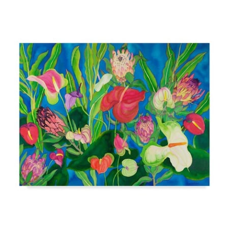 Carissa Luminess 'Heavenly Love' Canvas Art,35x47